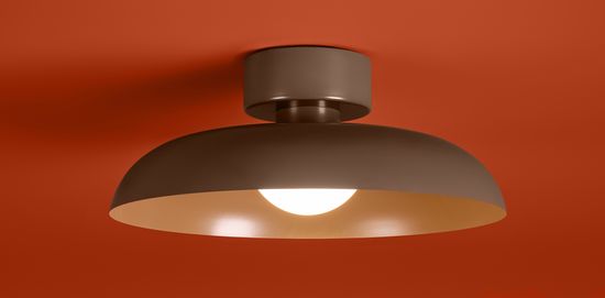 Потолочный светильник Freya FR5602CL-L10BR