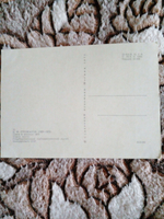 Винтажная открытка СССР В. Ф Строжаров. Туеса и огурцы. 1977 г.