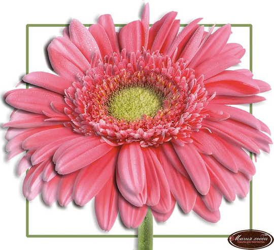 Папертоль МРТ0006 "Гербера" часть 2, 40*40см.