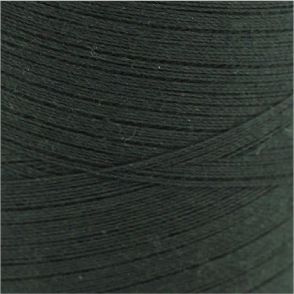 Нитки пнк.им. Кирова 45ЛЛ 100 Цветов города,(1*150м)