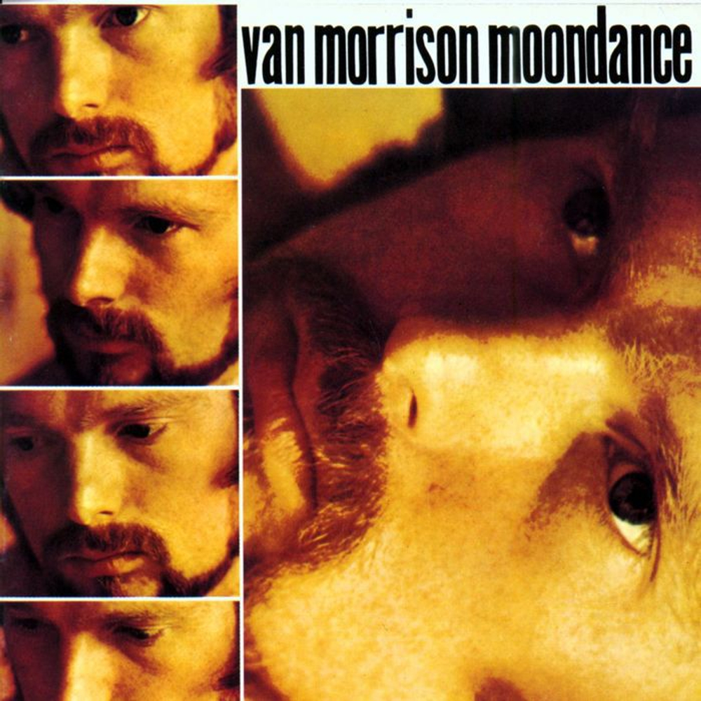 Van Morrison / Moondance (LP)