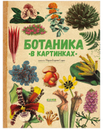Удивительные энциклопедии. Ботаника в картинках