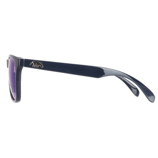 Очки Anteater Agent NAVY