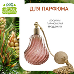 Сосна и Ель, отдушка для свечей и мыла