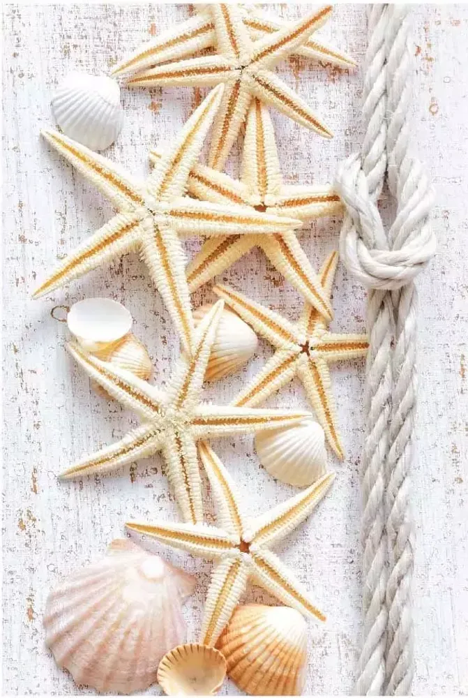 Панель ПВХ термопечать Морской бриз 611 2700х250 мм