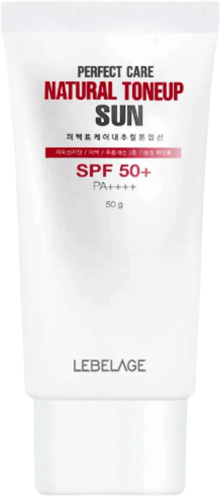 The Saem Eco Soul B Пудра рассыпчатая Eco Soul Bounce Powder 01 Ivory