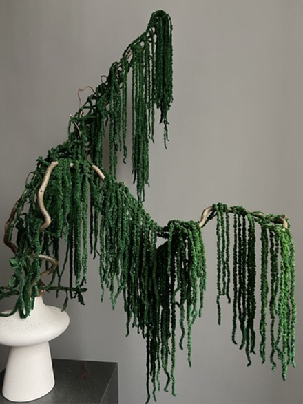 Амарант стабилизированный темно-зеленый