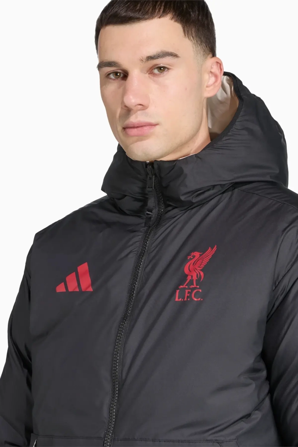 Куртка adidas Liverpool FC 25/26 Reversible Down - черный