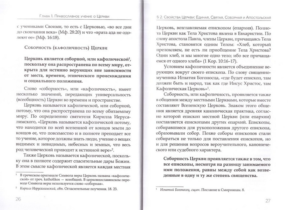Основы канонического устройства и литургической жизни Православной Церкви. Учебное пособие