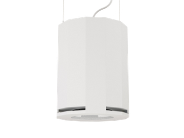 CVGAUDIO SUBone model DH-8W/CR/T подвесной сабвуфер, мощность 100W/100V