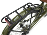 Электровелосипед Electra Townie Path Go! Step Thru (2022)