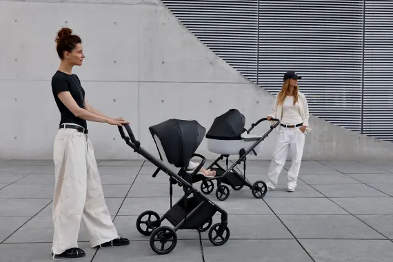 Коляска ANEX Eli 2 в 1 No.5