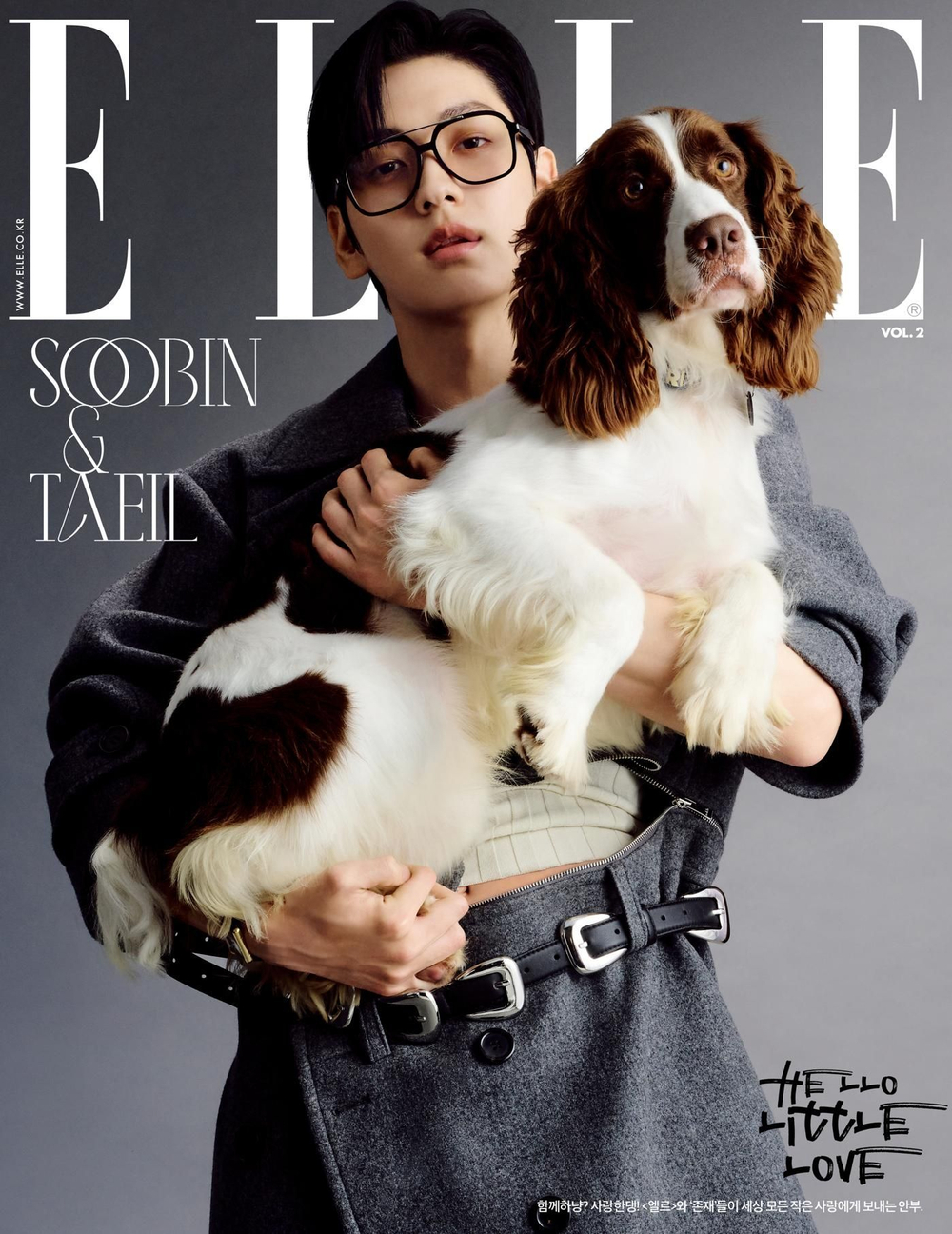 публикация ELLE - 2025.11 VOL. 2 SOOBIN L Type