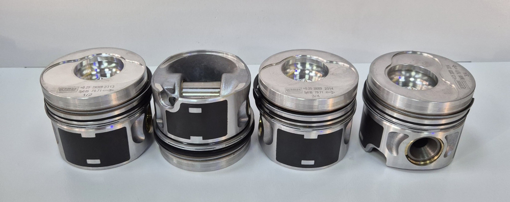 Поршни с кольцами +0.25 1.9 TDI AXC, AVF, AWX Yenmak