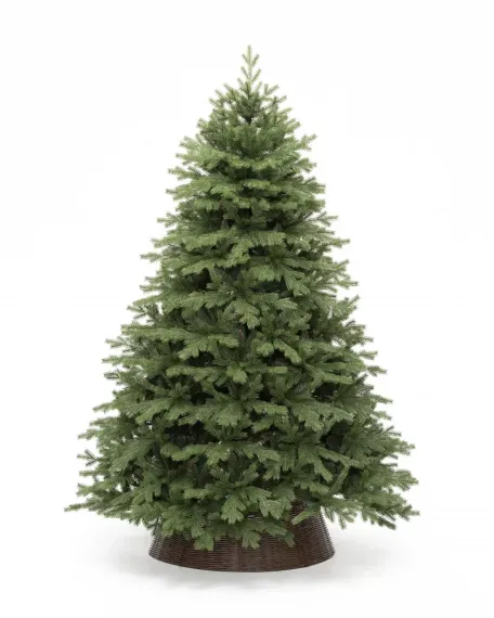 Искусственная елка Графская Премиум 240 см., Литая хвоя+ПВХ, ЕлкиТорг (44240)