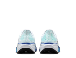 Кроссовки для бега мужские Nike Pegasus 41 M Бело-Blue
