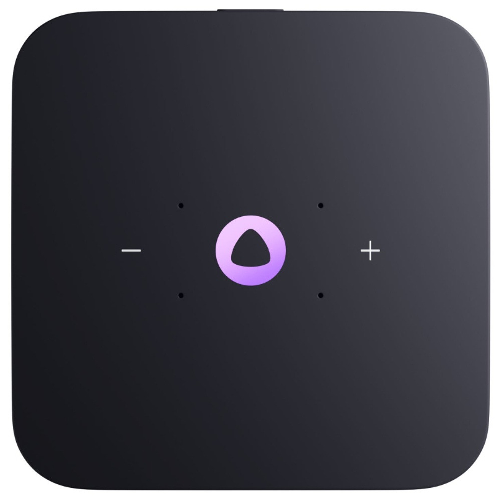 Умная колонка Яндекс Станция Миди с Zigbee (Черная)
