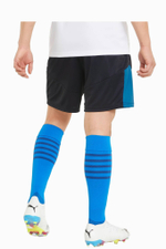 Шорты Puma individualFINAL Training