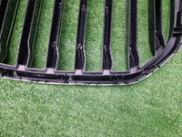 Решетка радиатора BMW X7 G07 (2019-2022)