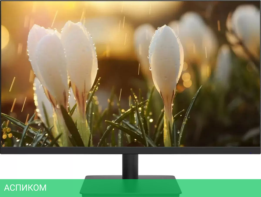 Монитор Dahua DHI-LM24-A201H