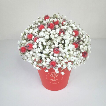 Композиция из гипсофилы в стаканчике "Морозная клюква"