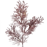 Ветка декоративная «Симфония леса» 80 см, Шоколад