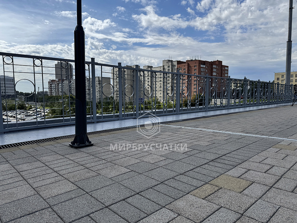 Сибревкомовский мост, г. Новосибирск
