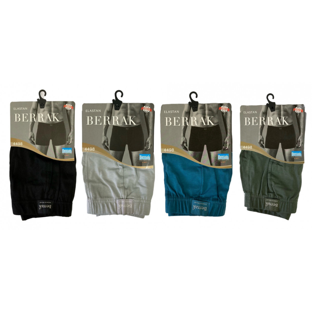 Мужские трусы Berrak №4498 (S-XL)