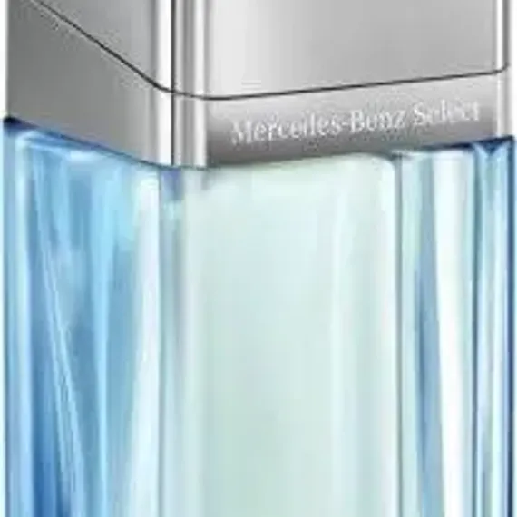Мужская парфюмерия Mercedes-Benz Select Day EDT 100 мл