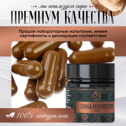 Гриб Чага Березовая капсулы 60 шт по 350 мг