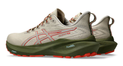 Кроссовки Asics GT-2000 13 TR