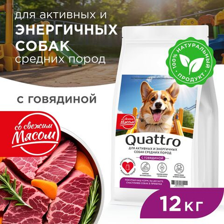 Корм сухой для взрослых собак средних пород, премиум полнорационный комплекс, для активных и энергичных, с говядиной, 12 кг, QUATTRO
