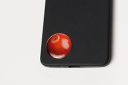 Карельский 3D‑стикер в ассортименте