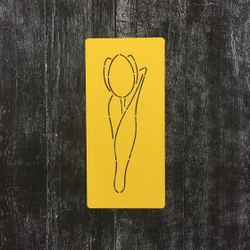 Тюльпан №29