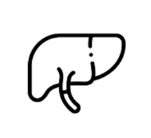 Для печени и поджелудочной