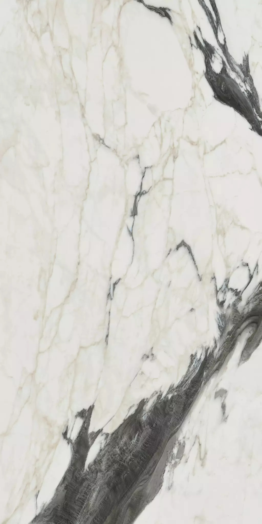 Керамогранит Bijoux Calacata Altissimo Blanc Matte