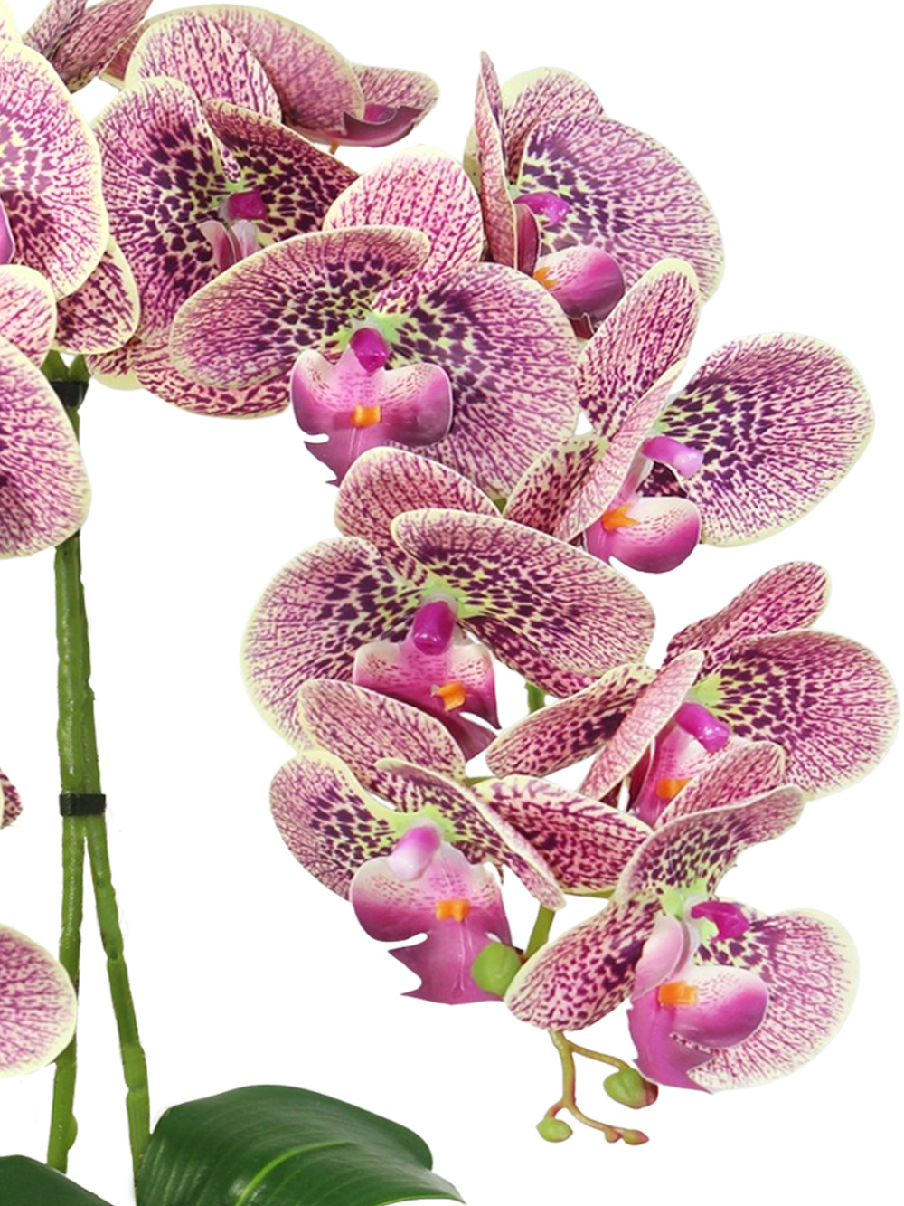 Искусственная Орхидея 2 ветки вишневая латекс 55см в кашпо