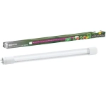 Лампа светодиодная TDM, T8-9 ВТ-230 В-G13"ФИТО», 600мм, для роста растений