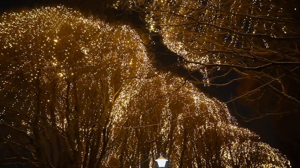 Уличная Гирлянда «Занавес»