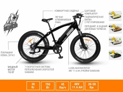 Электро фэтбайк Медведь 2.0 750