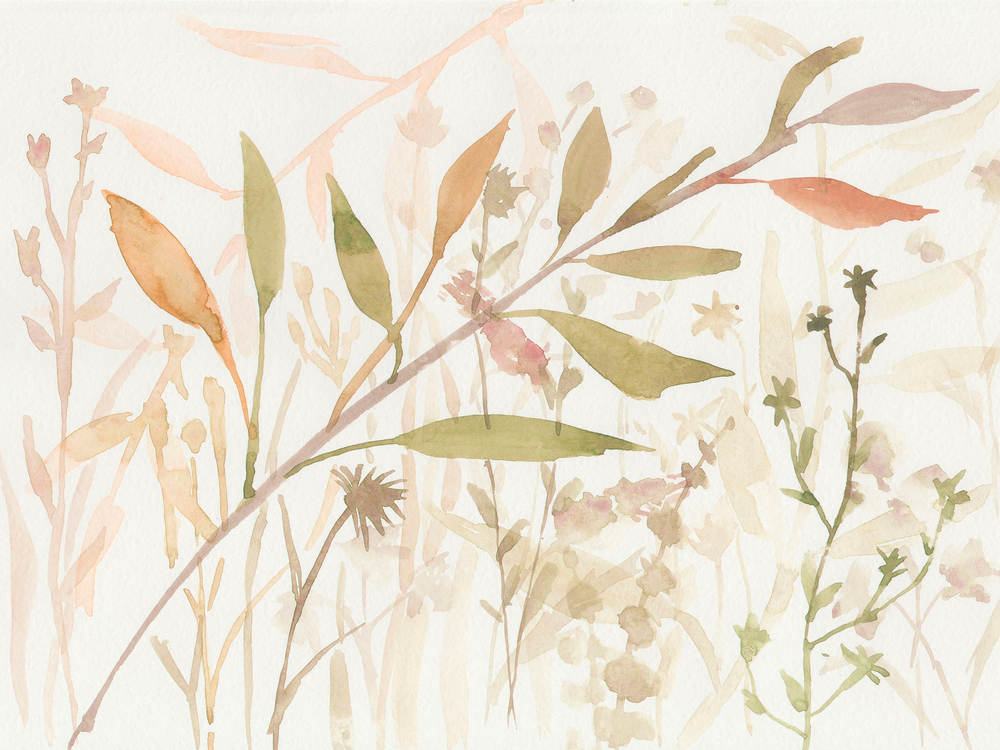 Коллекция WATERCOLOR21