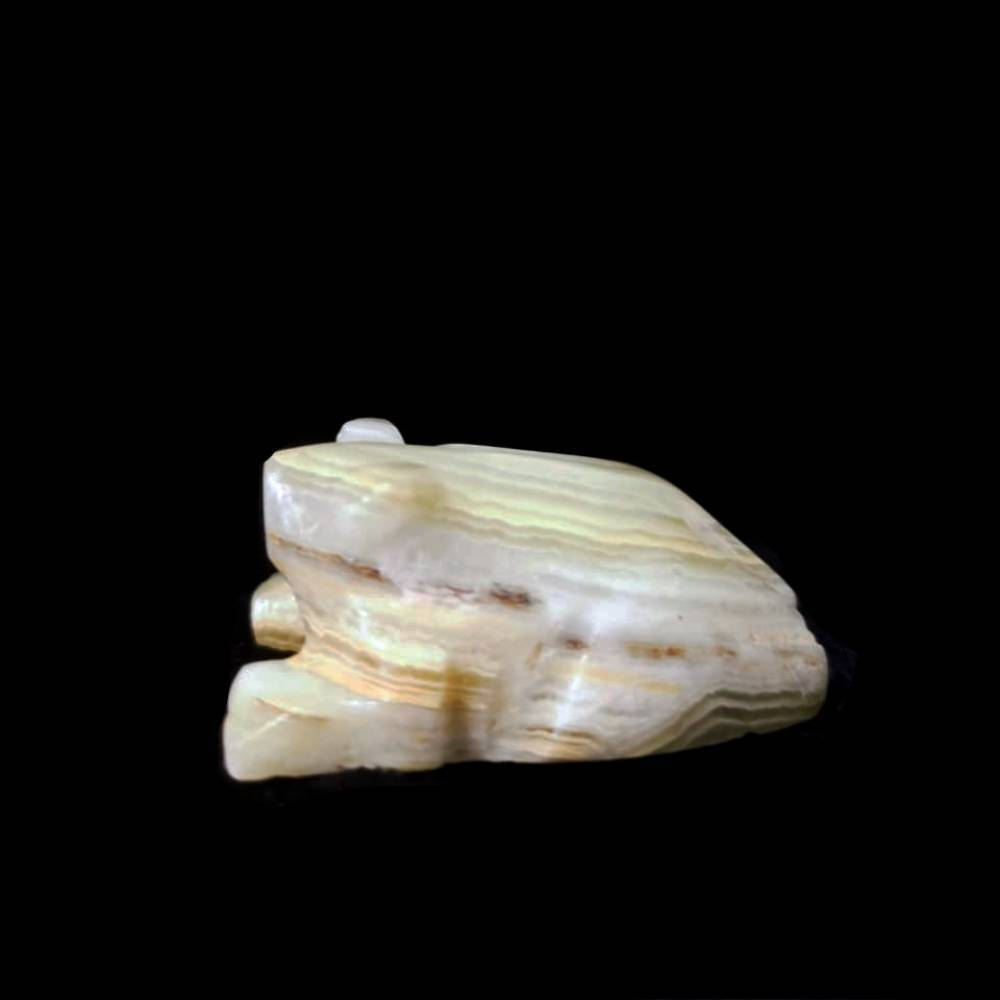 Лягушка оникс асс.