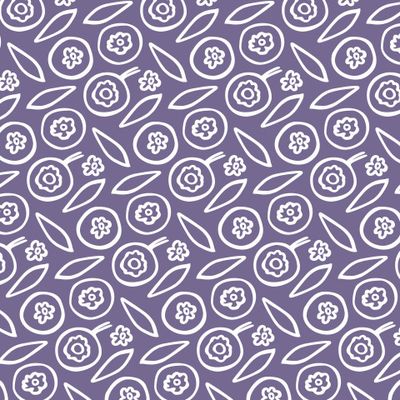 Buy blueberries fabric
