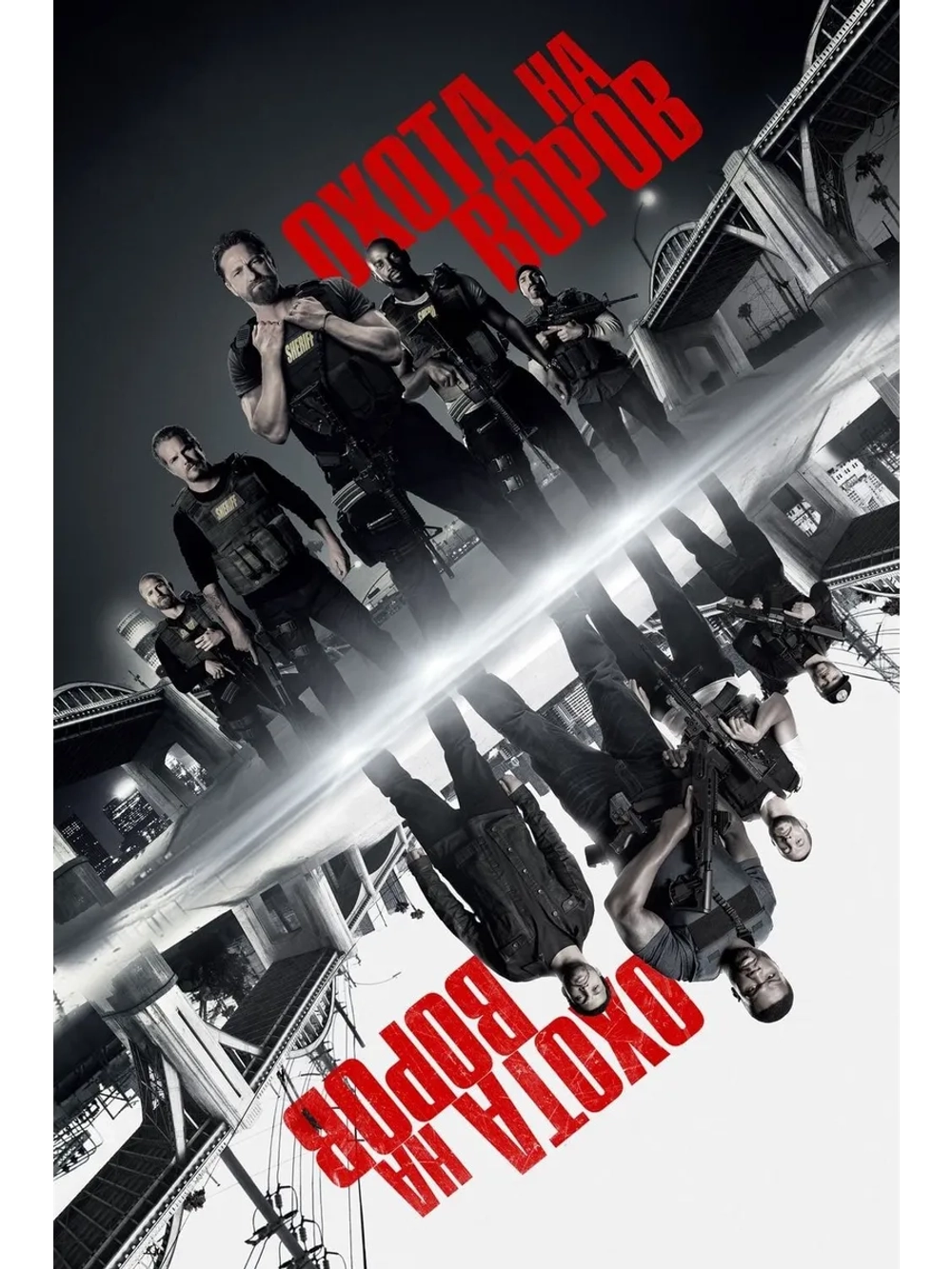 Охота на воров (2018) (DVD-R)