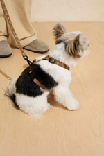 Шлейка "Пони-Компаньони" Mini, рыжий