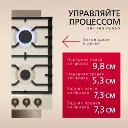 Газовая панель Hansa BHGY610391