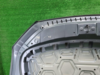 Капот Geely Monjaro (2021-н.в.)