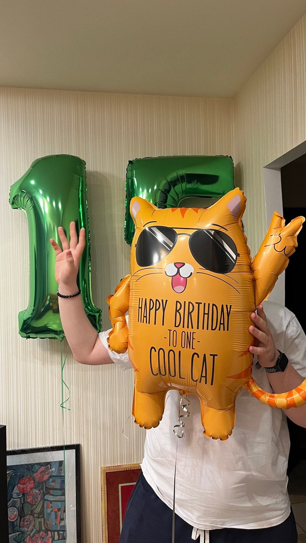 Набор 15 лет крутому коту