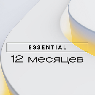 PS Plus ESSENTIAL 12 месяцев