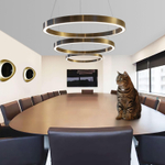 Подвесной дизайнерский светильник  Light Ring XXL by HENGE
